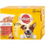 Pedigree Vital Protection mix 12 x 100 g – Sleviste.cz