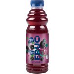 Fructal Fruc černý rybíz 0,5 l – Zboží Mobilmania