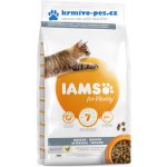 Iams for Vitality Cat Adult Indoor Chicken 2 kg – Hledejceny.cz