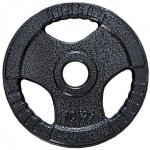 FitnessLine Kotouč olympijský litinový 50 mm - 10 kg – Hledejceny.cz