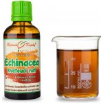 Bylinné kapky Echinacea třapatka kvetoucí nať kapky Duše rostlin tinktura 50 ml – Hledejceny.cz