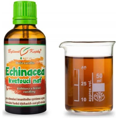 Bylinné kapky Echinacea třapatka kvetoucí nať kapky Duše rostlin tinktura 50 ml – Hledejceny.cz