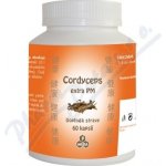 PM Cordyceps extra 60 kapslí – Hledejceny.cz