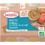 Babybio Rizoto s pórkem, máslovou dýní a lososem 2 x 200 g – Hledejceny.cz