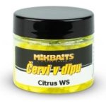 Mikbaits Červi v Dipu 50ml Med – Zboží Mobilmania