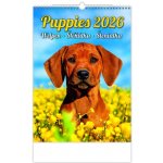 Helma nástěnný Puppies/Welpen/Štěňátka/Šteniatka 24 × 33 cm 2026 – Hledejceny.cz