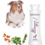 Biogange vyživujicí šampon aktiv 250 ml – Hledejceny.cz