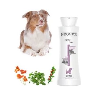 Biogange vyživujicí šampon aktiv 250 ml – Hledejceny.cz