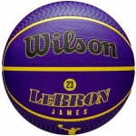 Wilson NBA Player Icon LeBron James – Hledejceny.cz