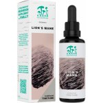 Kääpä Mushrooms Lion's Mane BIO tinktura 50 ml – Hledejceny.cz