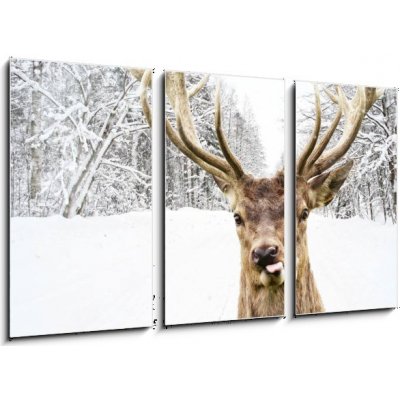 Obraz 3D třídílný - 90 x 50 cm - Deer with beautiful big horns on a winter country road Jelen s krásnými velkými rohy na zimní venkovské cestě – Sleviste.cz