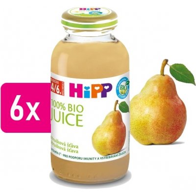 HiPP BIO Hrušková 6 x 200 ml – Zboží Mobilmania