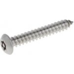 Šroub bezpečnostní do plechu, čočková hlava, drážka TORX se středovým čepem, DIN 7981, nerez A2 4,2 x 19, balení 1 ks – Hledejceny.cz