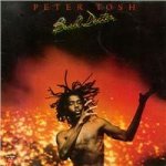 Tosh Peter - Bush Doctor LP – Hledejceny.cz