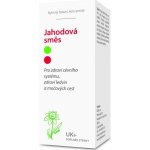 Dědek kořenář Novy Jahodová směs 100 ml – Hledejceny.cz