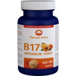 Pharma Activ Amygdalin Forte B17 45+15 kapslí – Hledejceny.cz