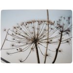 Mars & More 4ks pevné korkové prostírání s motivem Bolševníku 30x40x0,4cm – Hledejceny.cz