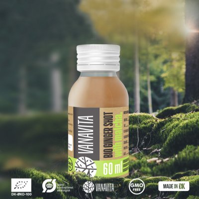 VanaVita Bio Ginger shot with matcha 24 x 60 ml – Zboží Mobilmania