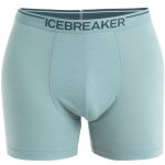 ICEBREAKER Mens Anatomica Boxers Cloud Ray (vzorek) – Zboží Dáma