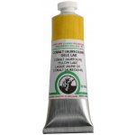 Old Holland olejová barva E119 cobalt aureolin yellow lake 125 ml – Sleviste.cz