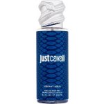 Roberto Cavalli Just Cavalli Vibrant Aqua 250 ml – Hledejceny.cz