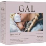 GAL Vitamin for Pregnant Women New Recipe 30 dávek – Hledejceny.cz