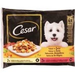 Cesar Selection v želé 4 x 100 g – Zboží Mobilmania