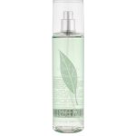 Elizabeth Arden Green Tea tělový závoj 236 ml – Zboží Dáma