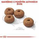 Royal Canin Medium Sterilised 12 kg – Hledejceny.cz