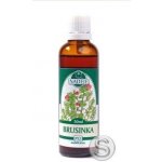 Naděje Brusinka tinktura z pupenů rostlin 50 ml – Hledejceny.cz
