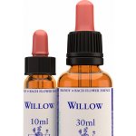 Bachova květová esence Willow Vrba bílá 30 ml – Hledejceny.cz