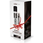 Colorwin korektor na krytí šedin a odrostů černý 4 6 g – Zboží Dáma Colorwin korektor na krytí šedin a odrostů černý 4 6 g – Zboží Dáma