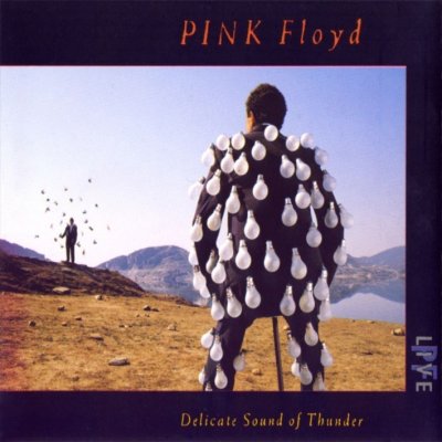 Pink Floyd - Delicate Sound Of Thunder – Zboží Mobilmania