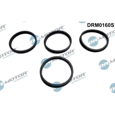 Sada těsnění, koleno sacího potrubí Dr.Motor Automotive DRM0160S – Zbozi.Blesk.cz
