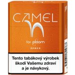 Camel Amber karton – Zboží Dáma