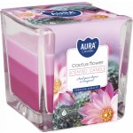 Bispol Aura Cactus Flower 170 g – Hledejceny.cz