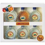 R. Jelínek 45% 6 x 0,05 l (set) – Zboží Mobilmania