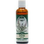 Šišák bajkalský tinktura z pupenů 50 ml – Hledejceny.cz