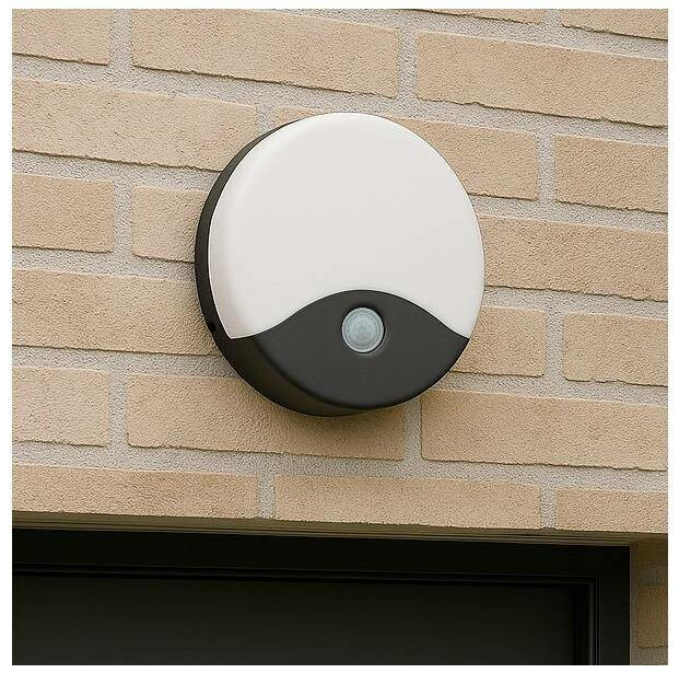 QTEC Q-19AD