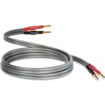 Qed XT40i – Zboží Živě