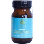 Healing Nature Brahmi paměť duševní síly Bylinné kapsle 60 kapslí – Hledejceny.cz