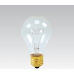 Narva Standardní žárovka E27 200W čirá N341002 – Zboží Živě