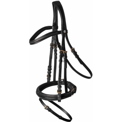 Waldhausen Kožená uzdečka X Line Amazing černá – Zboží Mobilmania