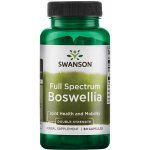 Swanson Boswellia 400 mg 100 kapslí – Hledejceny.cz