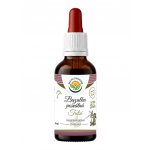 Salvia Paradise Tulsí bazalka posvátná AF tinktura 50 ml – Hledejceny.cz