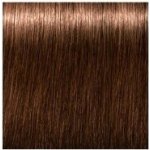 Schwarzkopf Igora Royal Absolutes 6-60 barva na vlasy 60 ml – Zboží Dáma