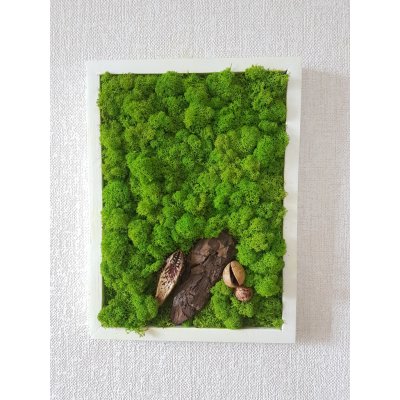 Mechový obraz v bílem rámu 40cm x 30cm – Zboží Dáma