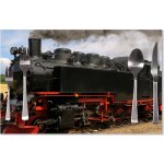 Sablio prostírání Lokomotiva 3 40x30cm – Zboží Dáma