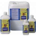 Advanced Hydroponics Enzymes 1 l – Hledejceny.cz