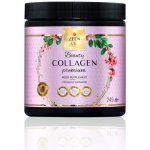 Zeen by Roal Beauty Kolagen Premium 249 g – Hledejceny.cz
